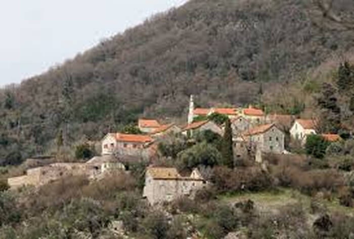 Gornja Lastva Village & Olive Groves Tour